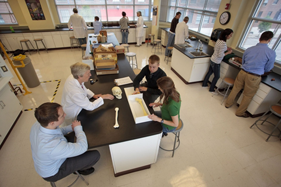 Archaeology Lab Students work in pairs and small groups at several stations around a lab.