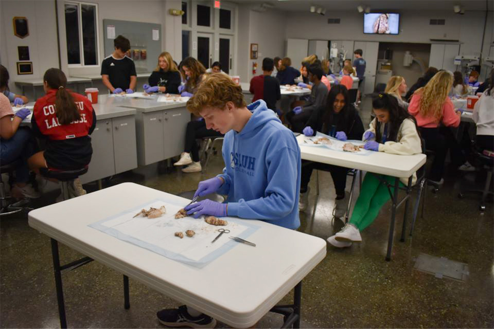 A photo of an aims camp participant dissecting a sheep eye A photo of an aims camp participant dissecting a sheep eye