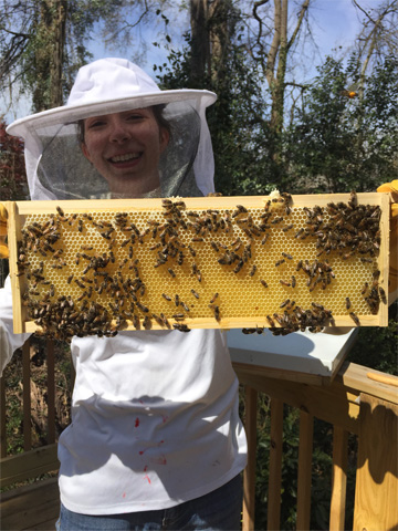 Pictured is Madeleine Schwab holding a colony of bees Pictured is Madeleine Schwab holding a colony of bees