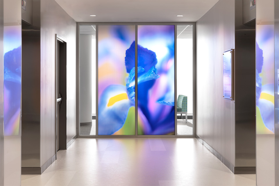 Waiting room in SLU hospital with a coloful mural Waiting room in SLU hospital with a coloful mural