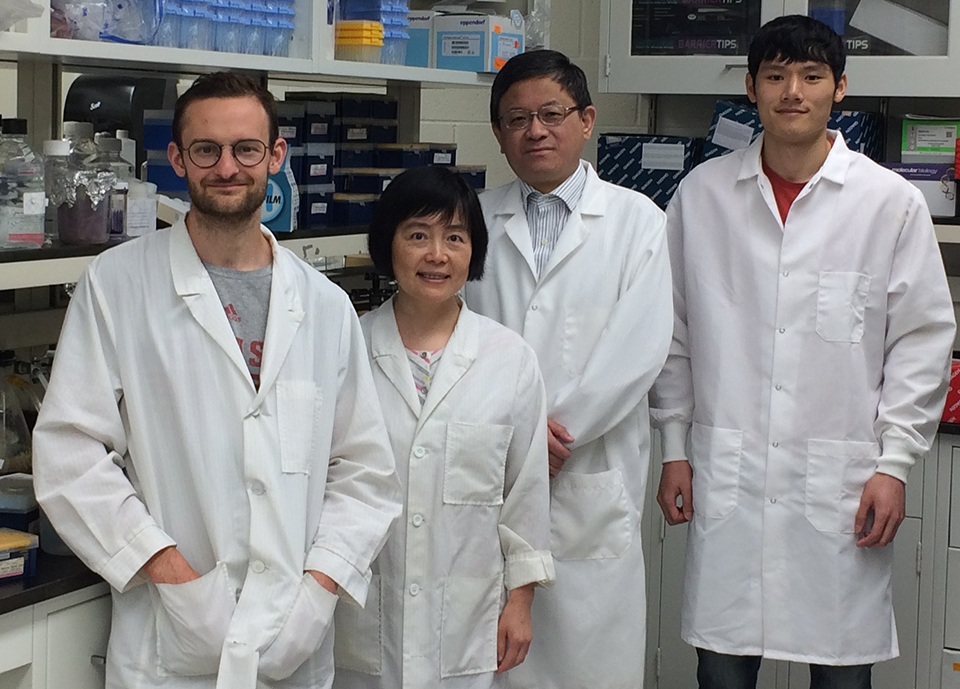 Nick Steinauer, Nick Steinauer, M.D./Ph.D. student in Dr. Zhang's lab,