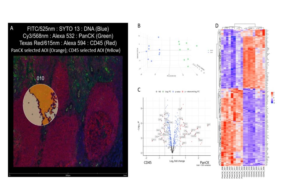 A pathology slide that is a sample of what a submission looks like A pathology slide that is a sample of what a submission looks like