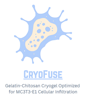 Gelatin-Chitosan Cryogels Optimized for Cell Seeding/Infiltration/Growth Gelatin-Chitosan Cryogels Optimized for Cell Seeding/Infiltration/Growth
