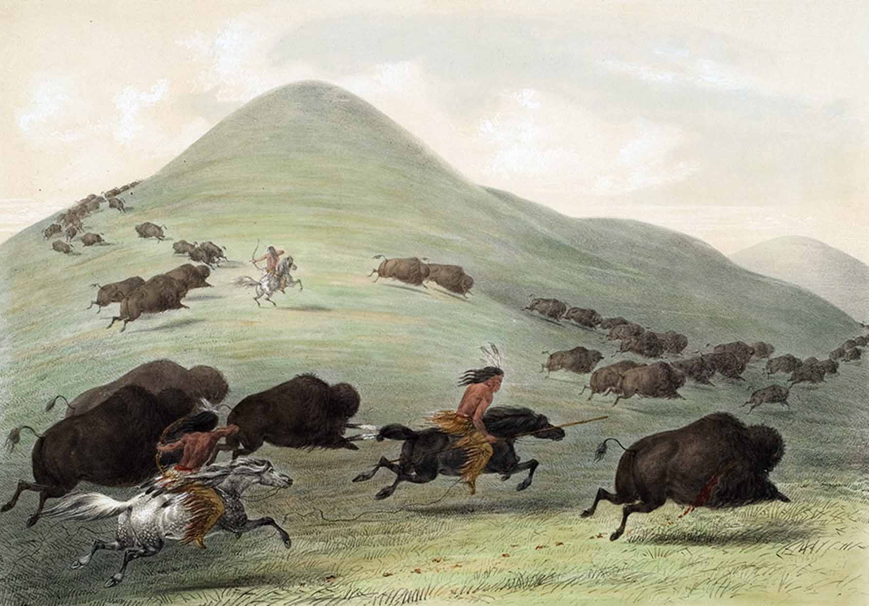Buffalo Hunt Buffalo Hunt