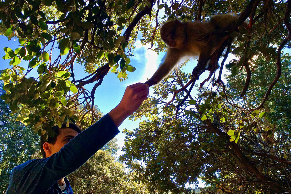 Wild Card Winner Wild Card Winner