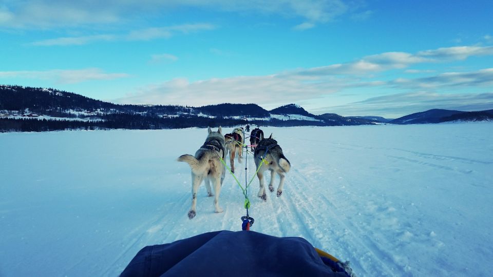 Unique Cultural Experience Unique Cultural Experience