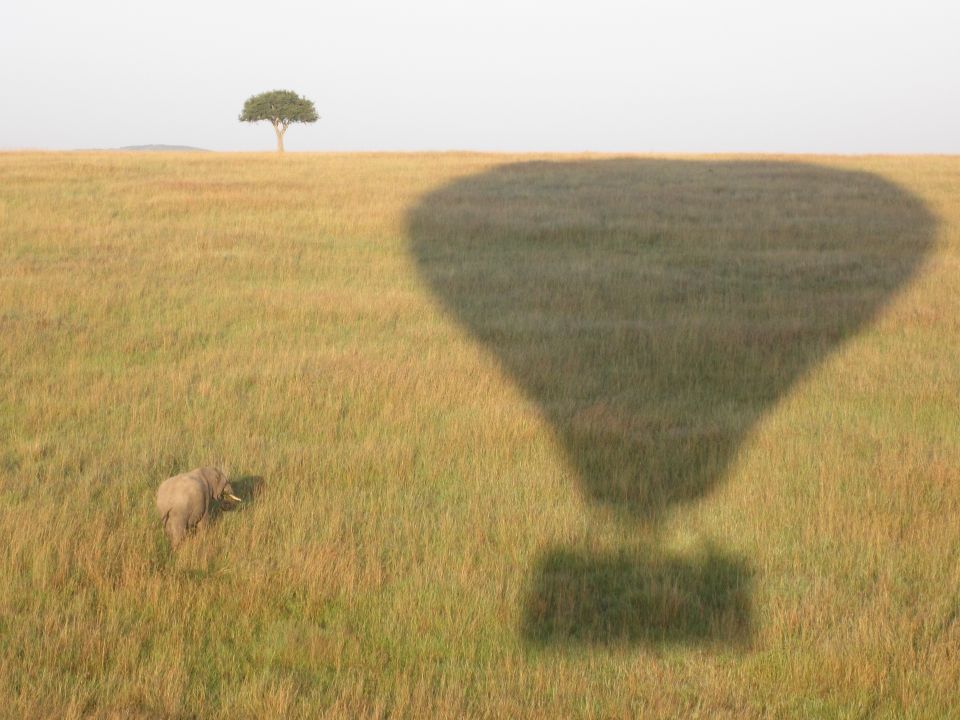 Landscape Winner Landscape Winner