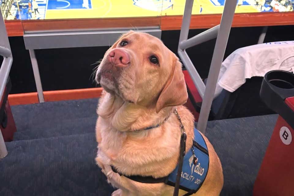 Meet Duo Dog Woody: SLU’s Campus Comfort Companion